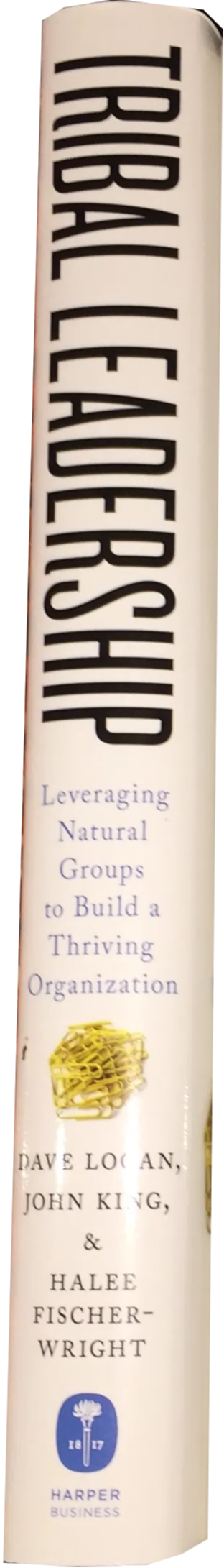 Tribal Leadership